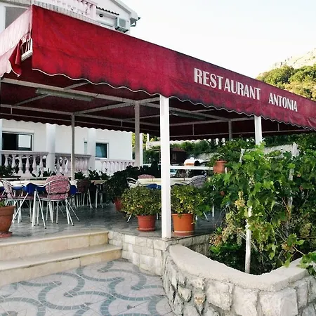 Πανσιόν Antonia Jurandvor