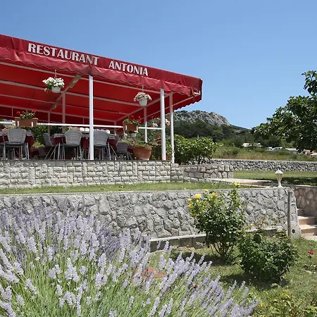 Maison d'hôtes Antonia