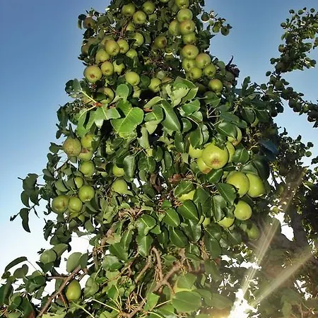 Maison d'hôtes Antonia