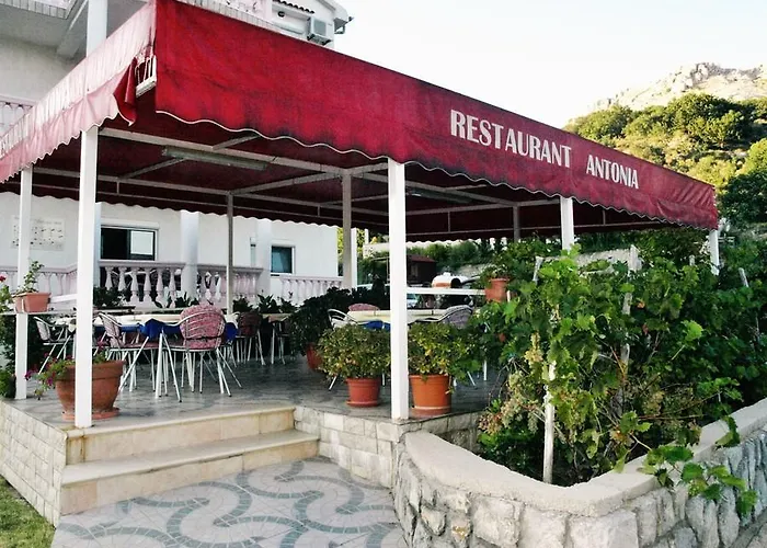 Πανσιόν Antonia Jurandvor